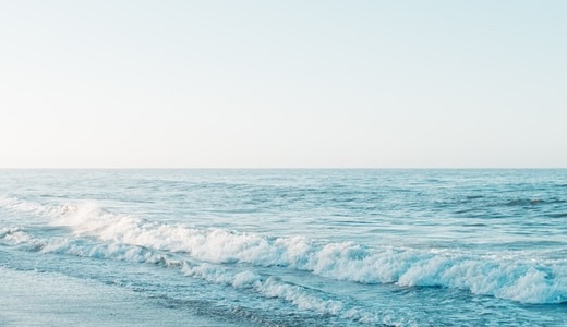 ハードシードルの終売はなぜ？代わりの商品も知りたい！